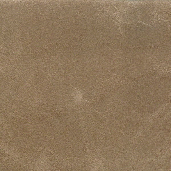 NEW FOREST STONE LEATHER